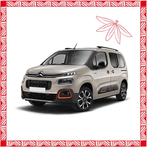 Citroën Berlingo beige à grand coffre