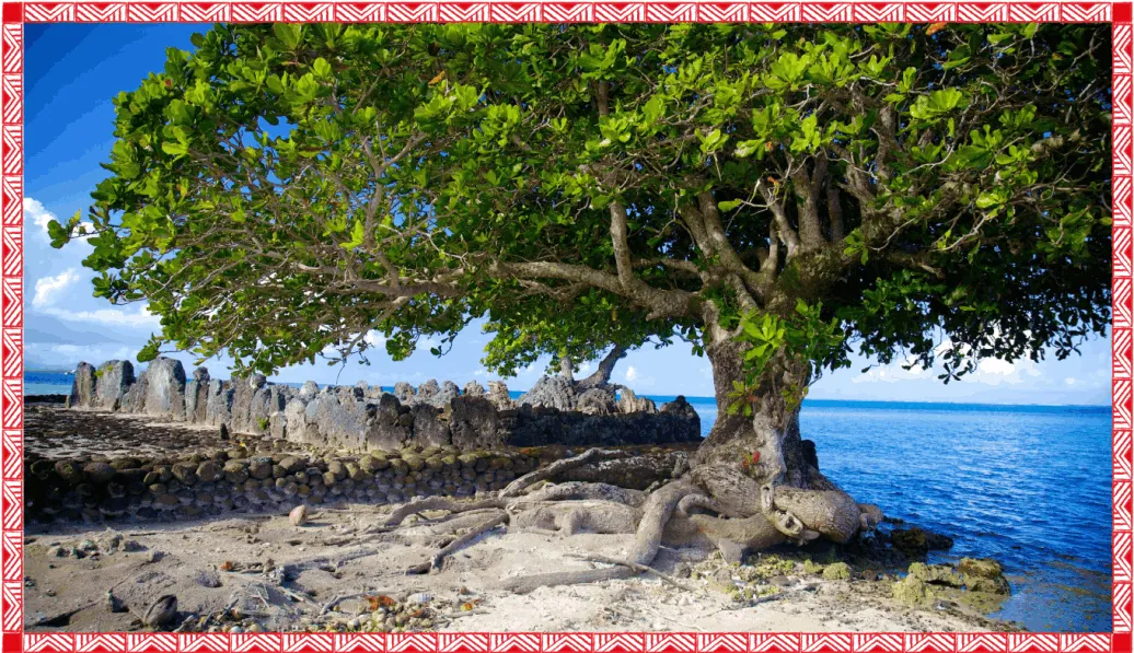 Grand arbre au bord du lagon et pierres de marae sur le littoral de Raiatea