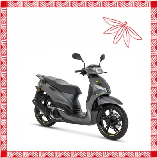 Scooter Peugeot Tweet 50 cm³ gris
